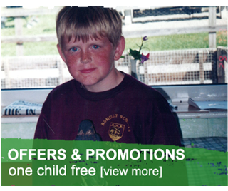 offers and promotions at the Welsh Hawking Centre
