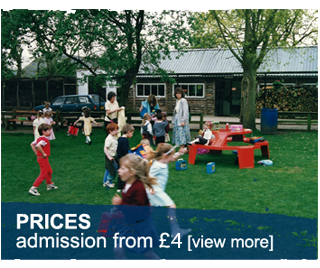admission and prices at the Welsh Hawking Centre